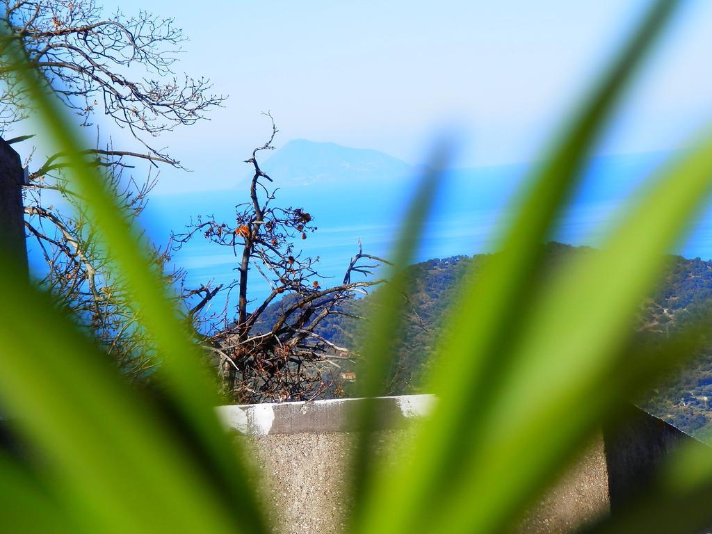 Al Fakhar Bed & Breakfast Ficarra Exterior photo